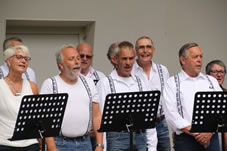 Uitvoering Muziektuin 2014 (47).jpg